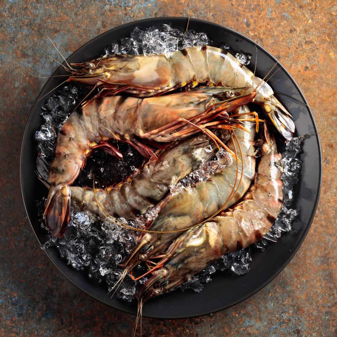 Black Tiger Prawns | Wild-caught | Large | 800g