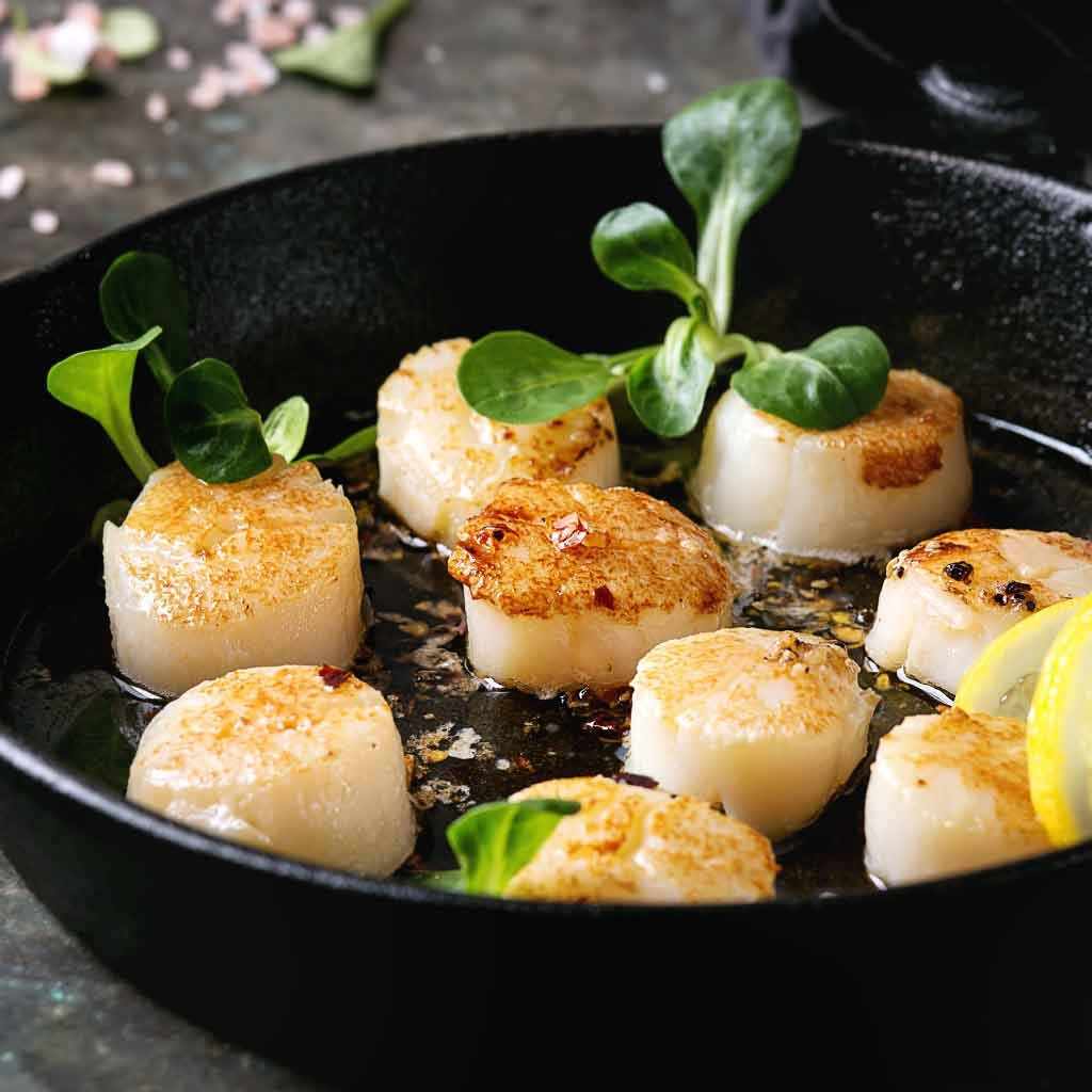 Scallops | Alaskan | Hand-Caught | Wild-caught | 350g